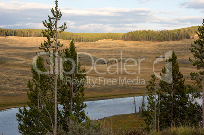 Yellowstone Nationalpark, Utah, USA