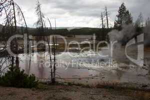 Yellowstone Nationalpark, Utah, USA