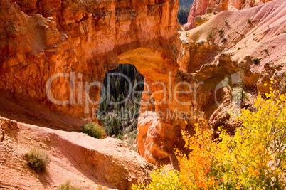 Bryce Canyon, Utah, USA