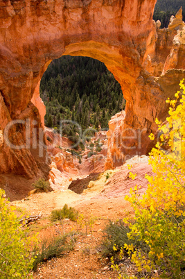 Bryce Canyon, Utah, USA