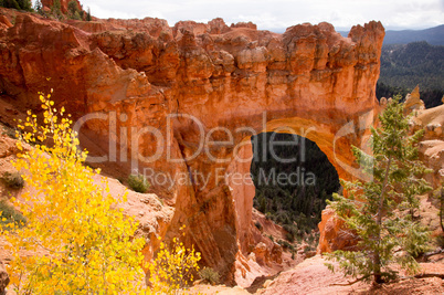 Bryce Canyon, Utah, USA