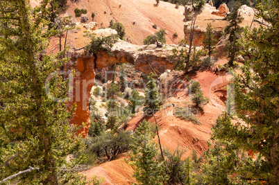 Bryce Canyon, Utah, USA