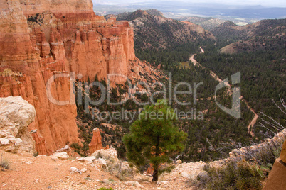 Bryce Canyon, Utah, USA