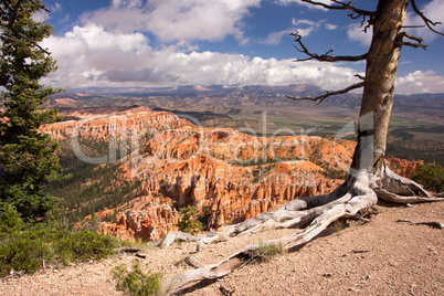 Bryce Canyon, Utah, USA