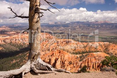 Bryce Canyon, Utah, USA