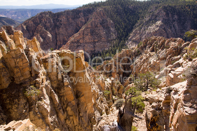 Hell's Backbone, Utah, USA