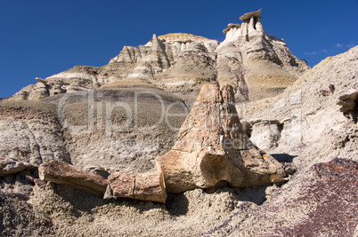 Ah-Shi-Sle-Pah Wilderness Study Area, New Mexico, USA