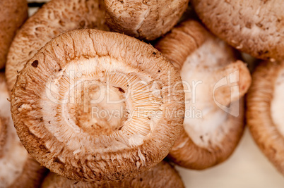 shiitake mushrooms