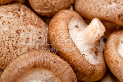 shiitake mushrooms