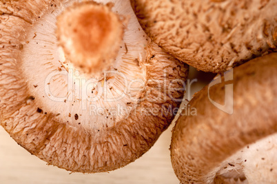 shiitake mushrooms