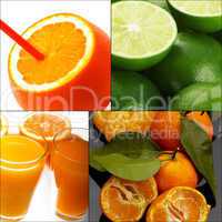 citrus fruits collage