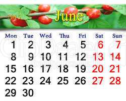 calendar for June of 2015 with berries of Prunus tomentosa