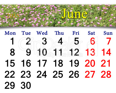 calendar for June of 2015 year with wild carnation