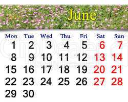 calendar for June of 2015 year with wild carnation