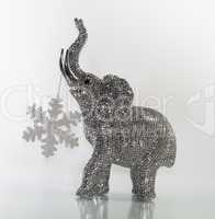 Elefant mit Schneestern