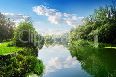 River in the summer