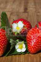 Erdbeeren