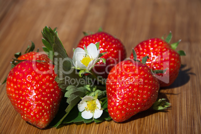 Erdbeeren Erdbeeren