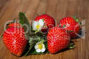 Erdbeeren