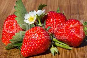 Erdbeeren