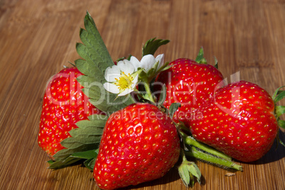 Erdbeeren