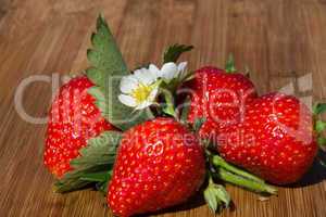 Erdbeeren