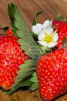 Erdbeeren