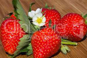 Erdbeeren