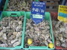 Muscheln aus Cancale, Frankreich