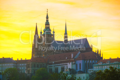 The Prague castle close up