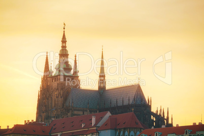 The Prague castle close up