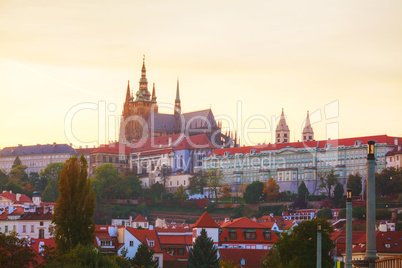 The Prague castle close up