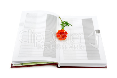 Book and flower isolated on white background