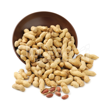 groundnut in plate
