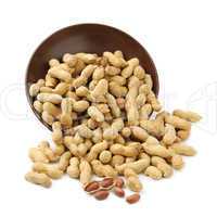 groundnut in plate