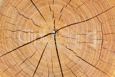 Wooden texture background