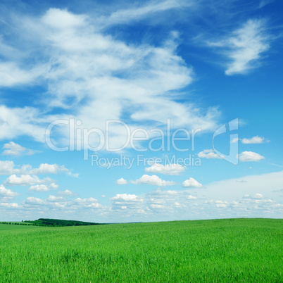 field and sky