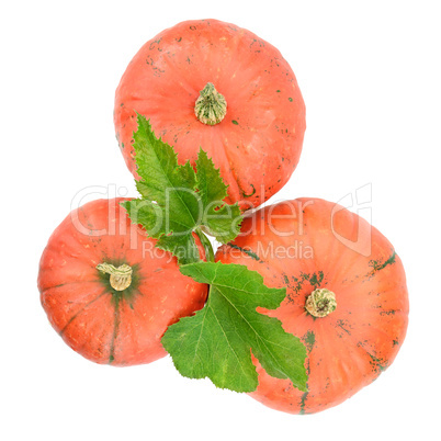 ripe pumpkin isolated on white background
