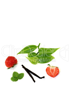 grüne Vanilleblätter mit Erdbeeren