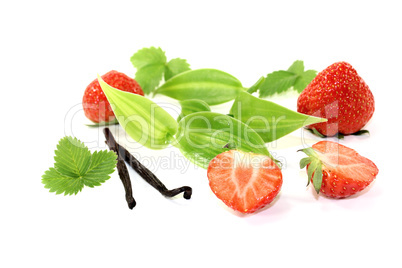 grüne Vanilleblätter mit roten Erdbeeren