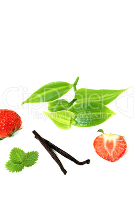 Vanilleblätter mit roten Erdbeeren