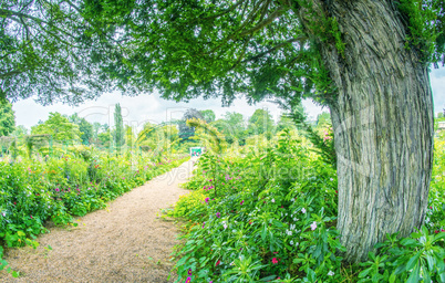 GIVERNY, FRANCE - JULY 9, 2014: Tourists visit famous Monet Gard