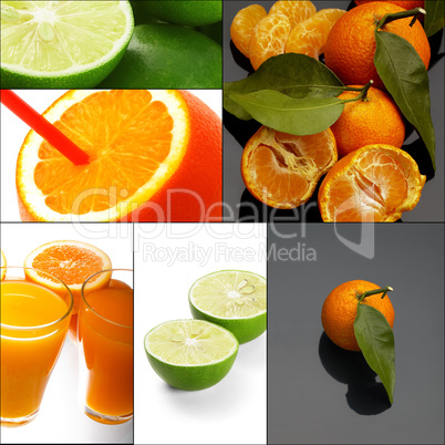 citrus fruits collage