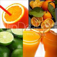 citrus fruits collage
