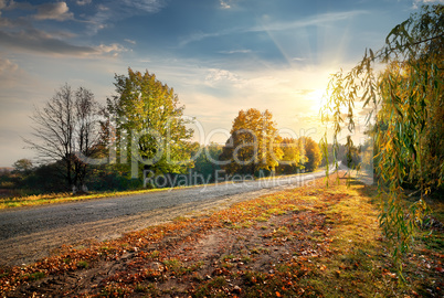 Road and autumn