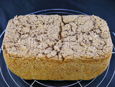 Vollkornbrot Vollkornbrot