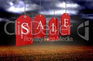 Composite image of red sale tags