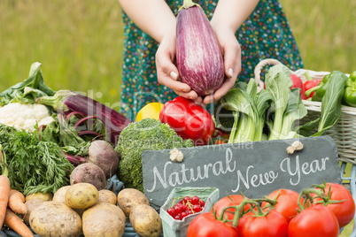 Composite image of natural new year