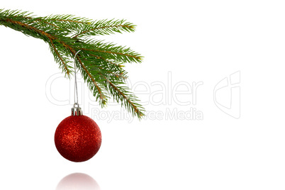 Red christmas bauble hanging from branch