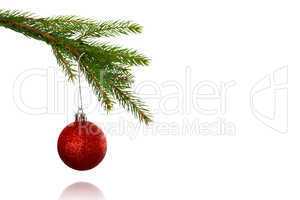 Red christmas bauble hanging from branch